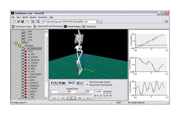 生物力学分析软件VISUAL3D - 图片 2