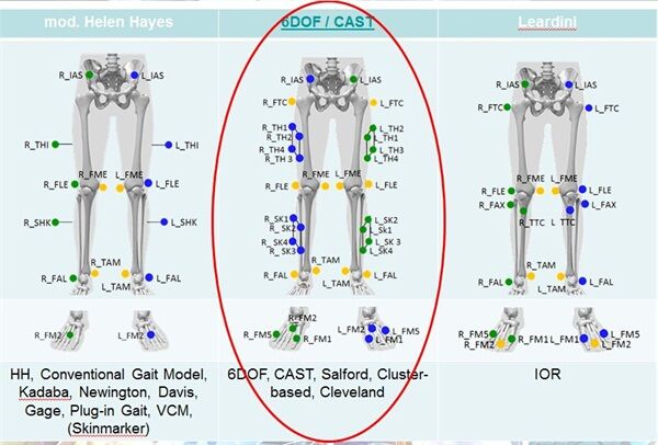 生物力学分析软件VISUAL3D - 图片 3