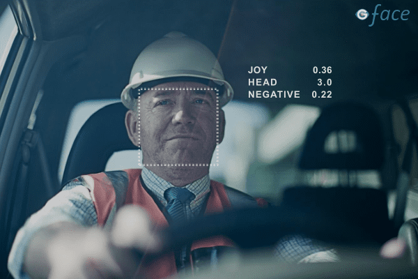 gFace面部表情检测系统 - 图片 2